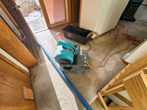 Best Water damage restoration insurance claims  in Stevensville, MD