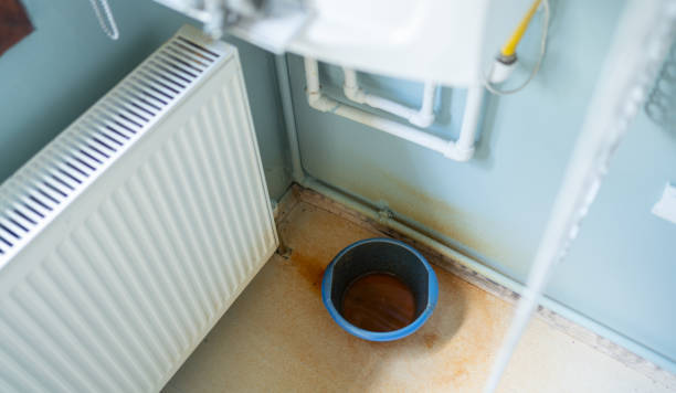 Best Flood damage cleanup  in Stevensville, MD