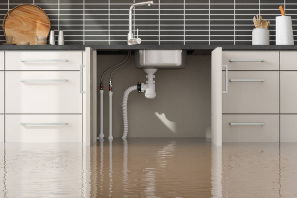 Best Local water damage restoration  in Stevensville, MD