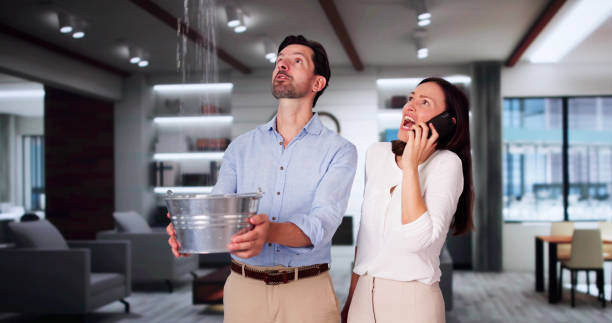 Best Basement water damage restoration  in Stevensville, MD