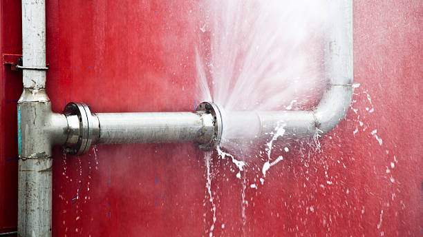  Stevensville, MD Water damage restoration Pros